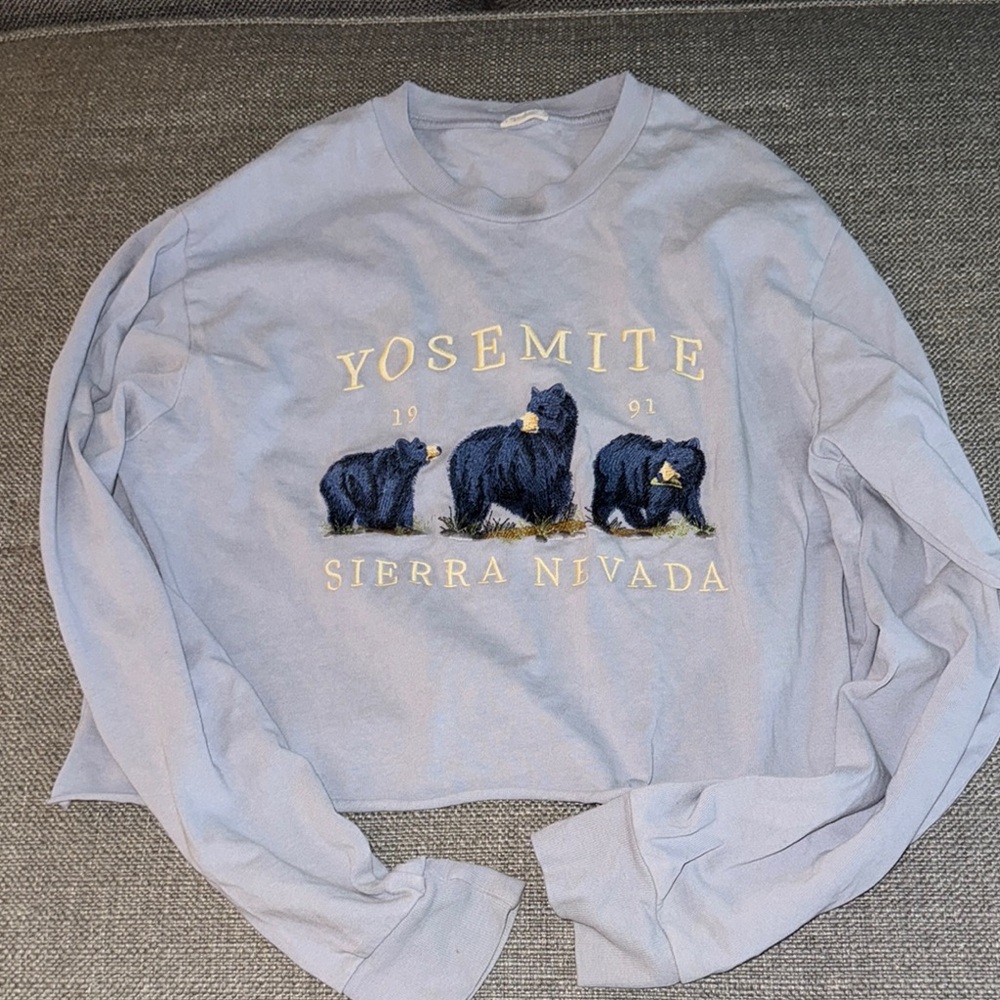 Brandy Melville Blue Yosemite Graphic Top